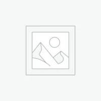 Alcoholic Drinks – Beer